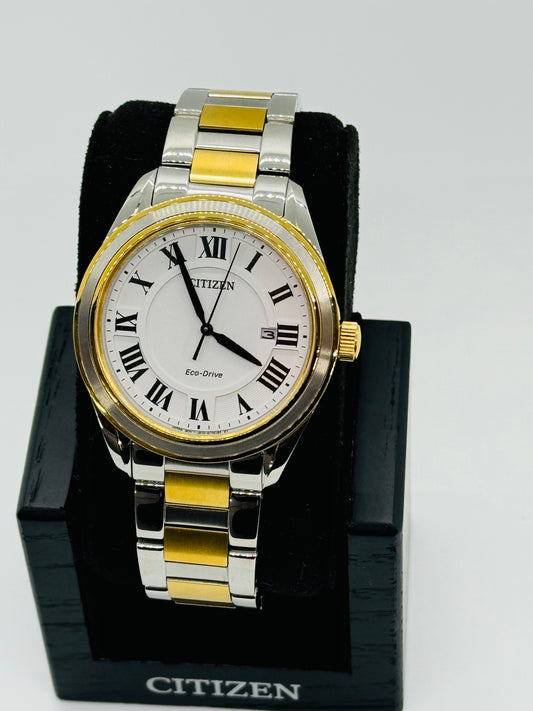 Citizen Arezzo Men's Watch